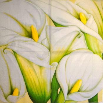 035 Calla - 3-ply