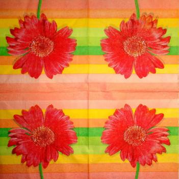 290 Daisies - 3-ply