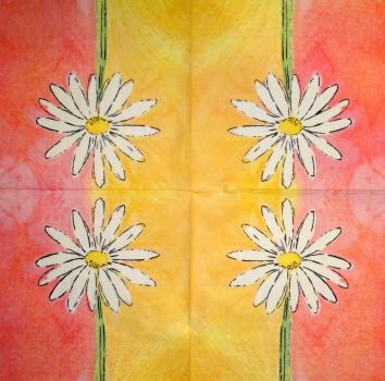 293 Daisies - 3-ply