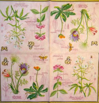 158 Blumen Sonstige - 3-lagig (rosa) - Ihr - CS