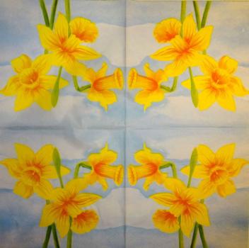 171 Daffodils - 3 ply -