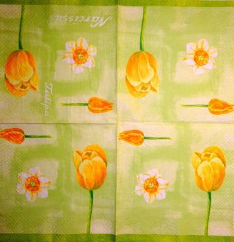 183 Tulpen - 3-lagig(grün)