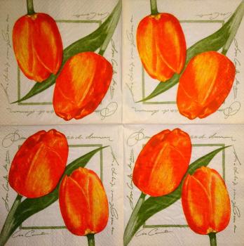 190 Tulips - 3-ply