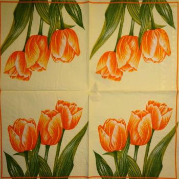 193 Tulpen - 3-lagig (orange) - Ambiente