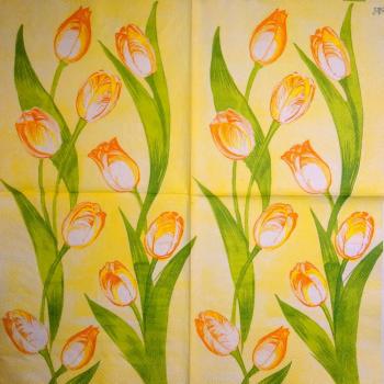 204 Tulpen - 3-lagig - SIA