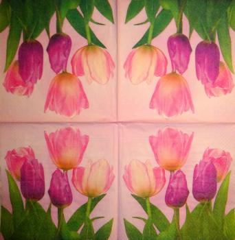 148 Tulpen - 3-lagig (rosa)
