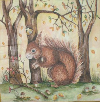 011 Eichhörnchen - dunkel