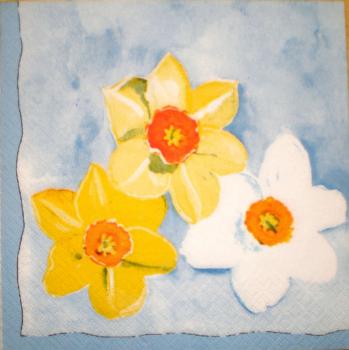 004 Daffodils,  Hyacinths,  Maiglöckchen, Crocus - blue