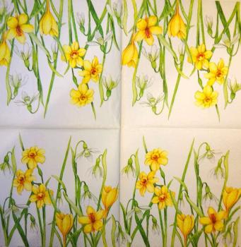 180 Daffodils - 3 ply (weiß) - Atelier