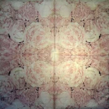 043 Sagen - 3-ply