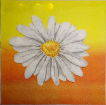 006 Daisies - 3-ply