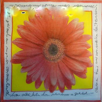 019 Margeriten - 3-lagig