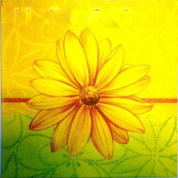 032 Margeriten - 3-lagig