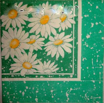047 Daisies - 3-ply