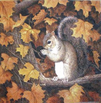 032 Eichhörnchen - 3-ply - Ambiente