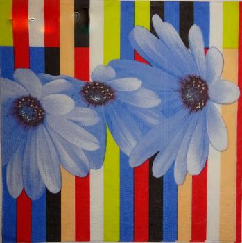 048 Daisies - 3-ply