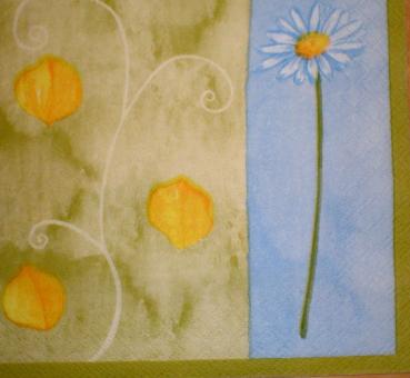056 Daisies - 3-ply