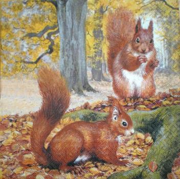 033 Eichhörnchen - 3-lagig
