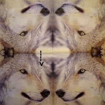 077 Animals Autumn - 2-ply (Spot)