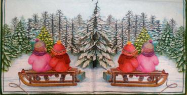 013 Winterlandschaft