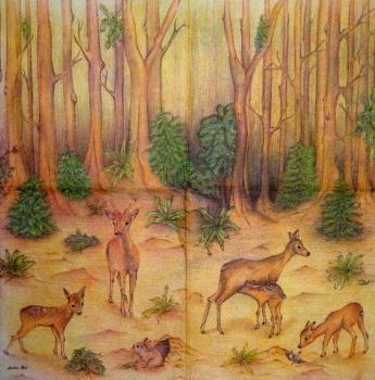 278 Deer - 3-ply - Ladies Mol / MOLCA