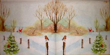 016 Winterlandschaft