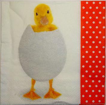 071 Enten - 3-lagig - Stewo
