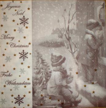 019 Winterlandschaft