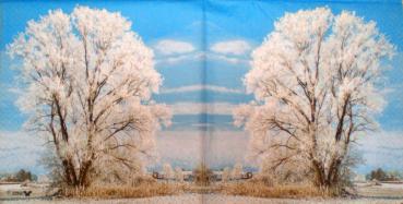 024 Winterlandschaft - 3-lagig - Stewo