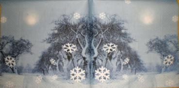 031 Winterlandschaft (31)