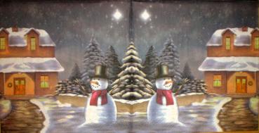 032 Winter Landscape (32)