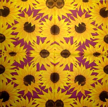 196 Sunflowers - 3-ply