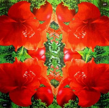 173 Lilies - 3-ply - ppd -Andrea Tilk