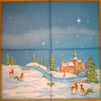 049 Winter Landscape (49)