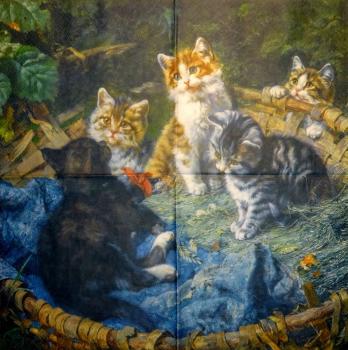 033 Cats - 3-ply (ESR)