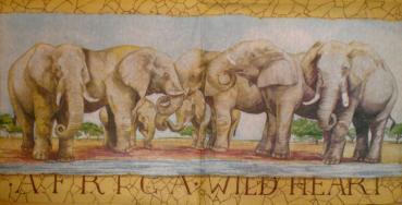 001 Elefant - 3-lagig - Ambiente