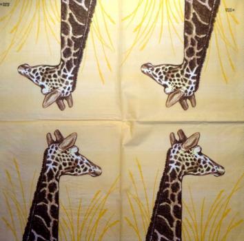 022 Giraffe - 3-ply - ppd