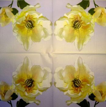 118 Magnolias - 3-ply (purple) - Susy Card
