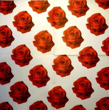 667 Roses - 3-ply (weiß-215800) - Paw