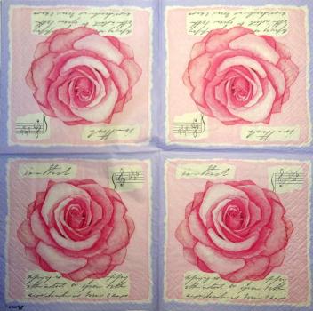 680 Rosen - 3-lagig - Stewo - CS