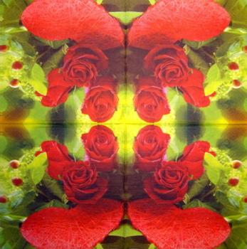 717 Roses - 3-ply