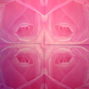 720 Rosen - 3-lagig (rosa-2016) - Krackenberger