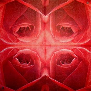 720 Rosen - 3-lagig (rot) - Krackenberger