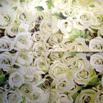 723 Roses - 3-ply