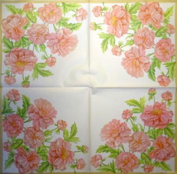 750 Rosen - 3-lagig