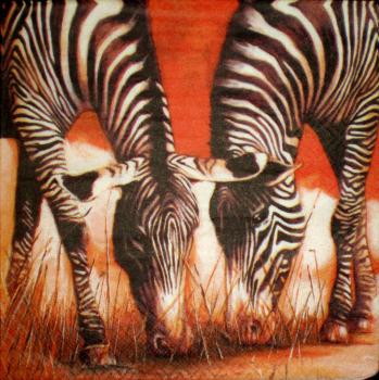 024 Zebra - 3-ply - Ti-Flair