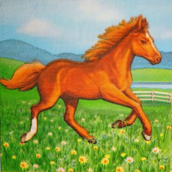 136 Horses - 3-ply - Paper Art - CS