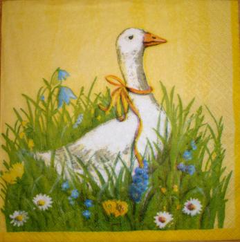 020 Ducks - 3-ply (yellow)