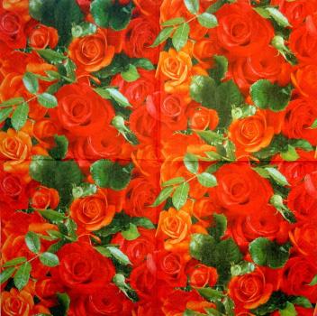 503 Rosen - 3-lagig - CS
