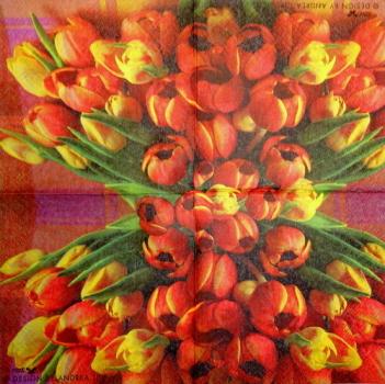 226 Tulips - 3-ply - Andrea Tilk - CS